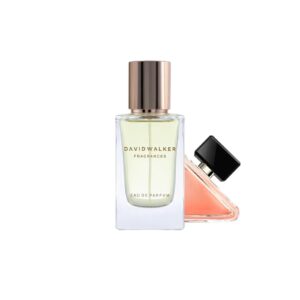 B239 مستوحى من Prada Paradoxe